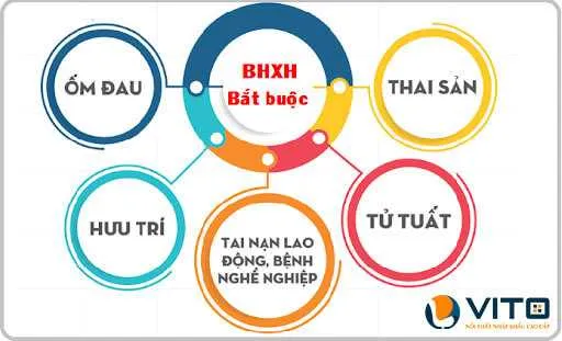 Đa dạng quyền lợi khi tham gia