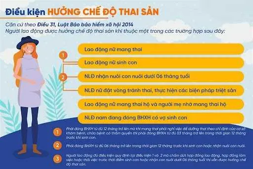 Các quy định nghỉ thai sản cho nữ và nam