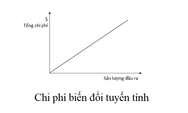 Chi phí biến đổi, chi phí cố định: Phân biệt và công thức tính