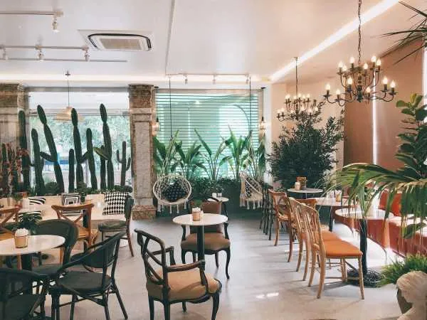 Quán cafe gần gũi với thiên nhiên 