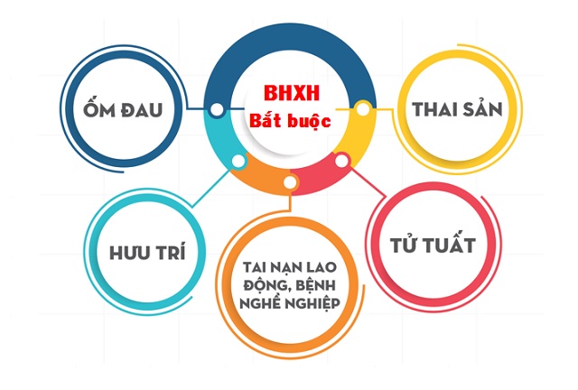 Các chế độ bảo hiểm xã hội bắt buộc