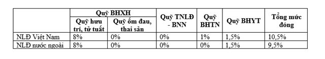 Hỏi đáp từ A – Z bảo hiểm xã hội là gì, phân loại, cách tra BHXH