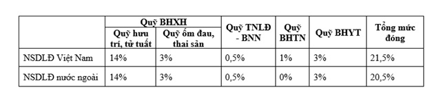 Hỏi đáp từ A – Z bảo hiểm xã hội là gì, phân loại, cách tra BHXH