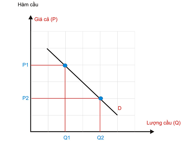 Mô hình quy luật cung cầu bất biến trong mọi nền kinh tế