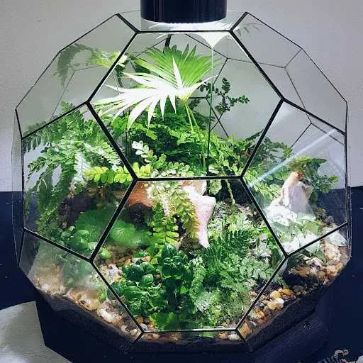 Tiểu cảnh Terrarium kín