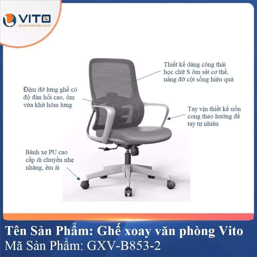 Ghế Xoay Văn Phòng Vito GXV-B853-2