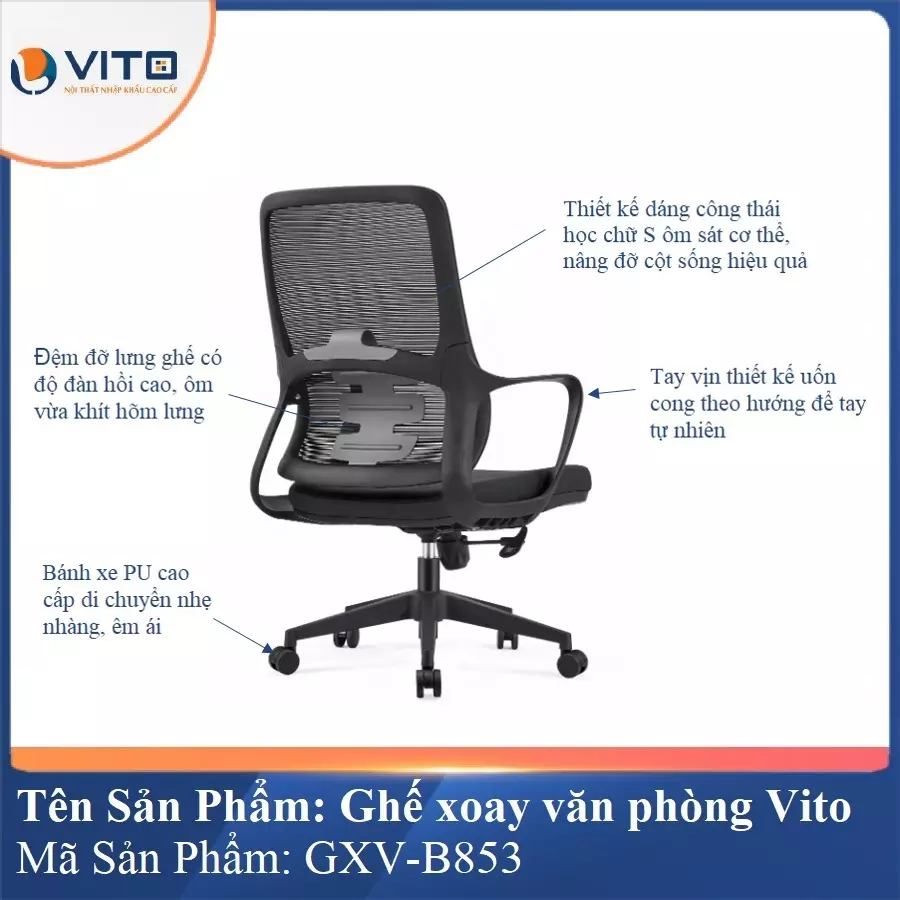 Ghế Xoay Văn Phòng Vito GXV-B853