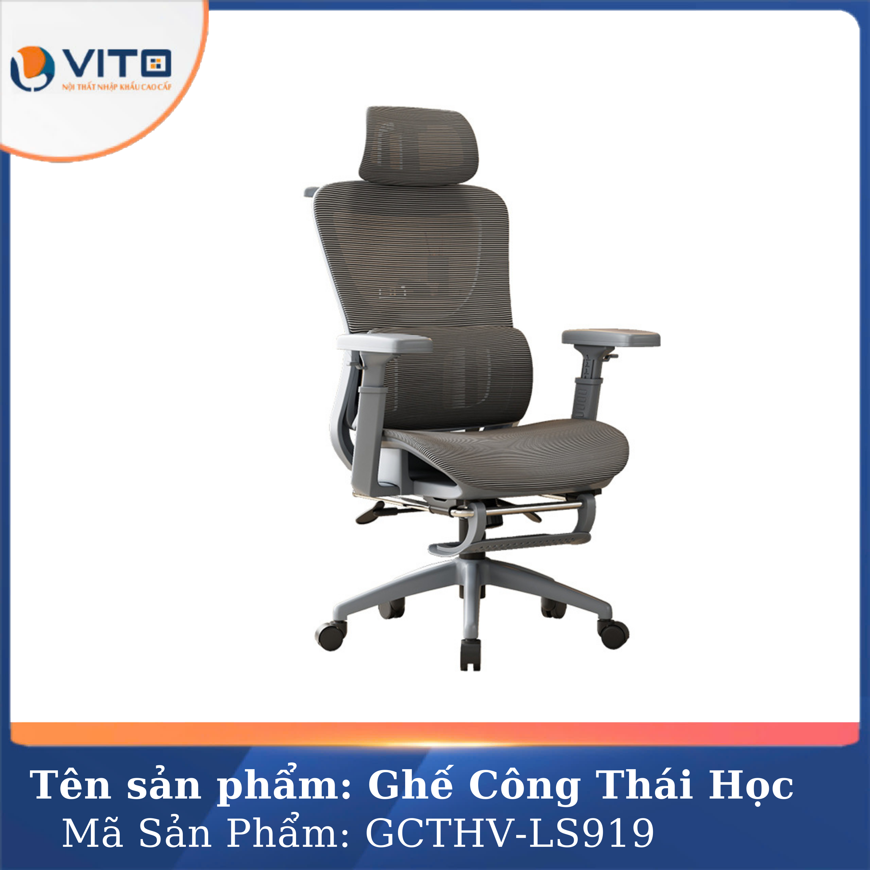 Ghế công thái học Vito GCTHV-LS919