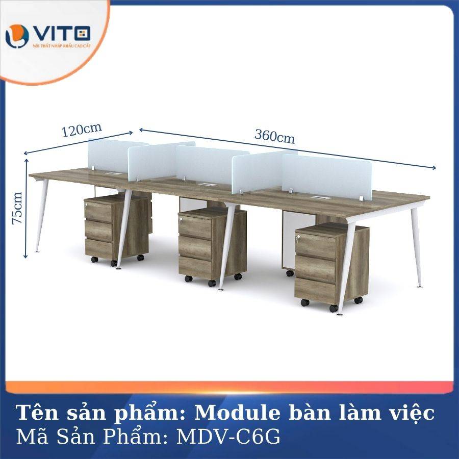 Module bàn làm việc 6 người chân côn Vito MDV-C6G