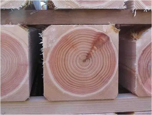 Gỗ Hinoki – Dòng gỗ cao cấp đến từ Nhật Bản