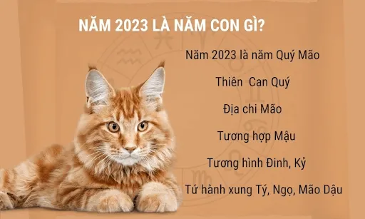 Năm 2023 năm gì? Tổng hợp đặc điểm người sinh năm 2023