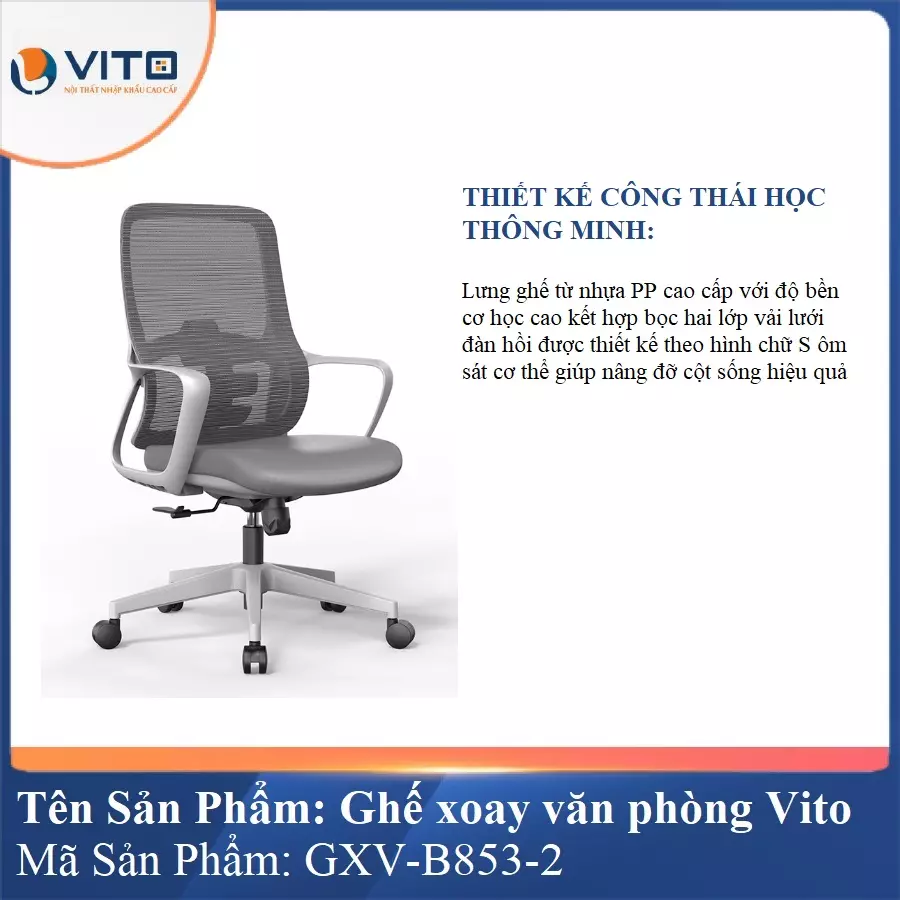 Ghế Xoay Văn Phòng Vito GXV-B853-2