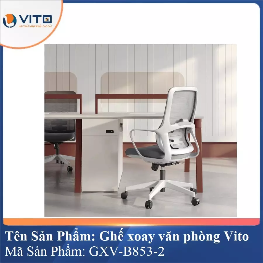 Ghế Xoay Văn Phòng Vito GXV-B853-2