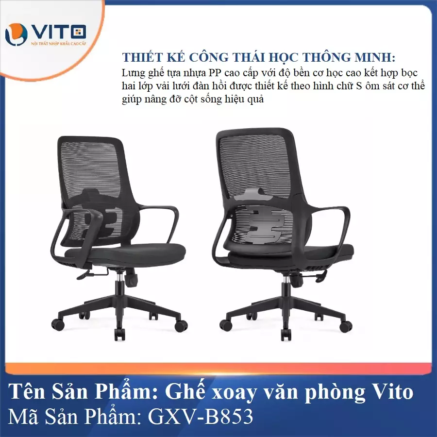 Ghế Xoay Văn Phòng Vito GXV-B853