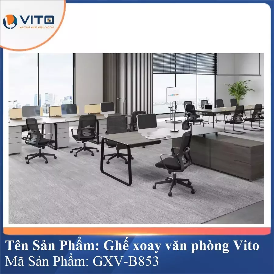 Ghế Xoay Văn Phòng Vito GXV-B853