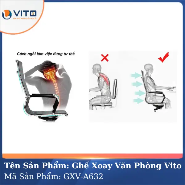 Ghế xoay văn phòng Vito GXV-A632