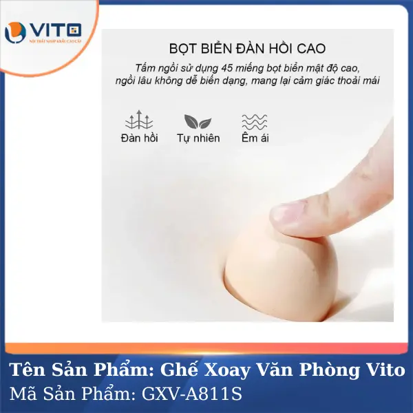 Ghế Xoay Văn Phòng Vito GXV-A811S