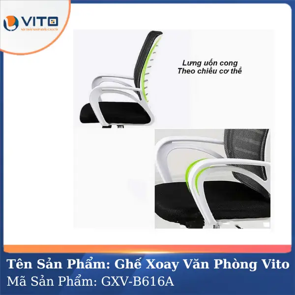 Ghế xoay văn phòng Vito GXV-B616A